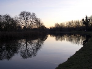 wintertrees-126